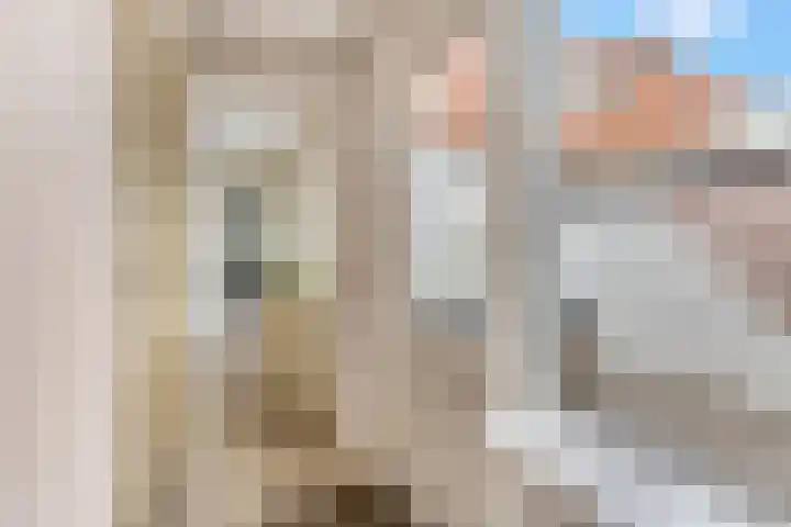Meinsstraat 17 Nijkerk thumbnail 17