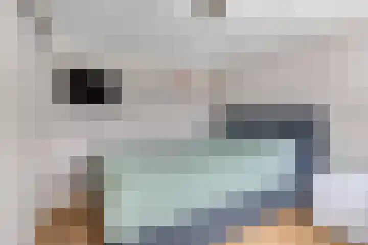 Meinsstraat 17 Nijkerk thumbnail 23