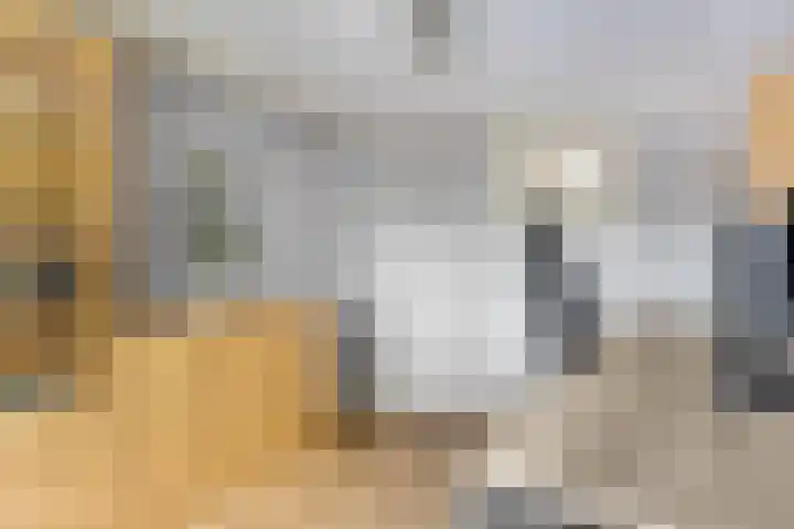 Meinsstraat 17 Nijkerk thumbnail 27