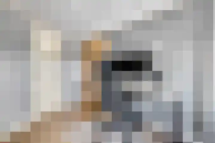 Meinsstraat 17 Nijkerk thumbnail 28