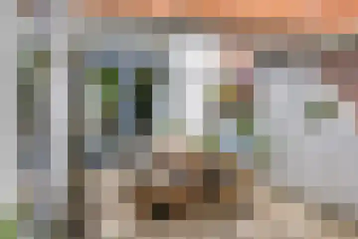 Meinsstraat 17 Nijkerk thumbnail 36