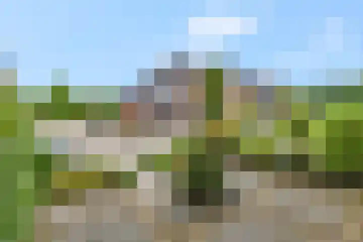Meinsstraat 17 Nijkerk thumbnail 49