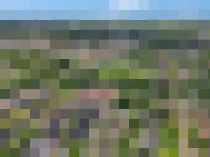 Meinsstraat 17 Nijkerk thumbnail 53