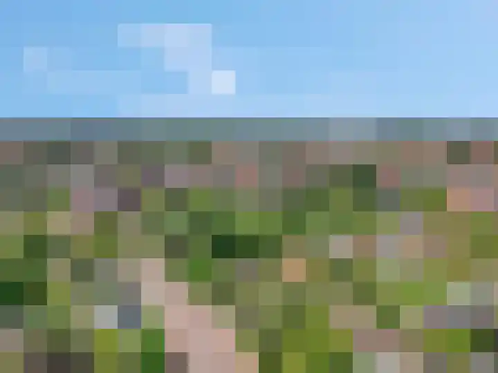 Meinsstraat 17 Nijkerk thumbnail 54