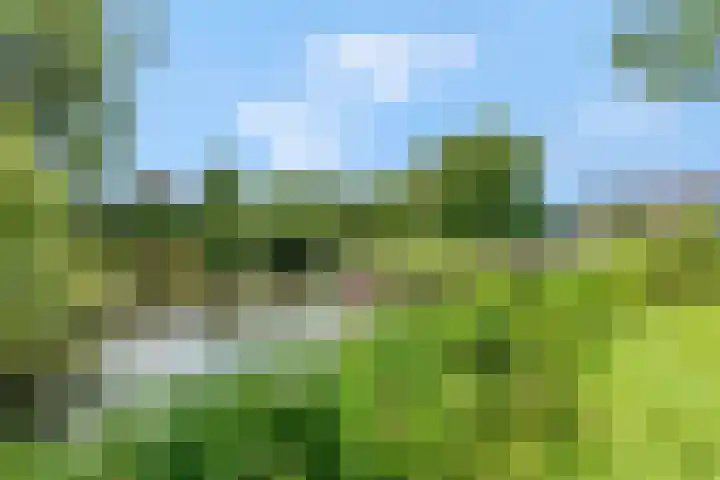 Meinsstraat 17 Nijkerk thumbnail 55