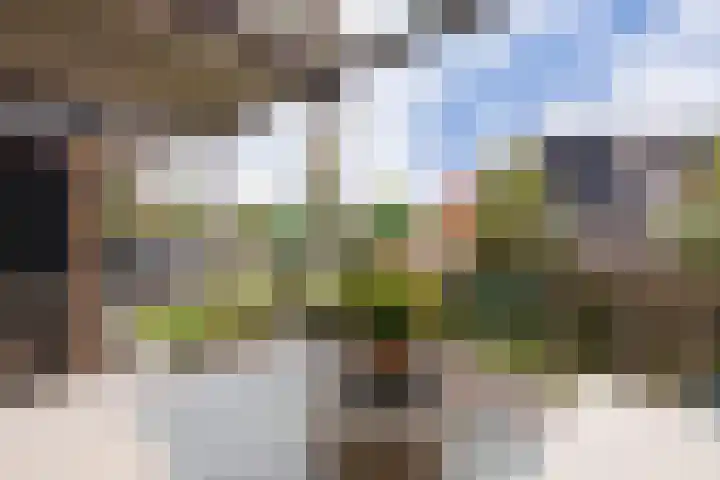 Meinsstraat 54 Nijkerk thumbnail 33