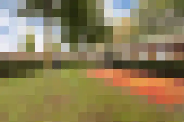 Meinsstraat 54 Nijkerk thumbnail 36