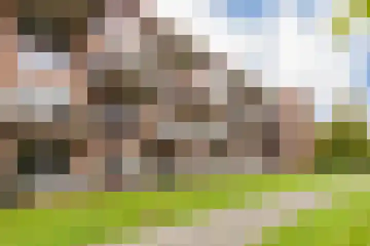 Meinsstraat 54 Nijkerk thumbnail 39