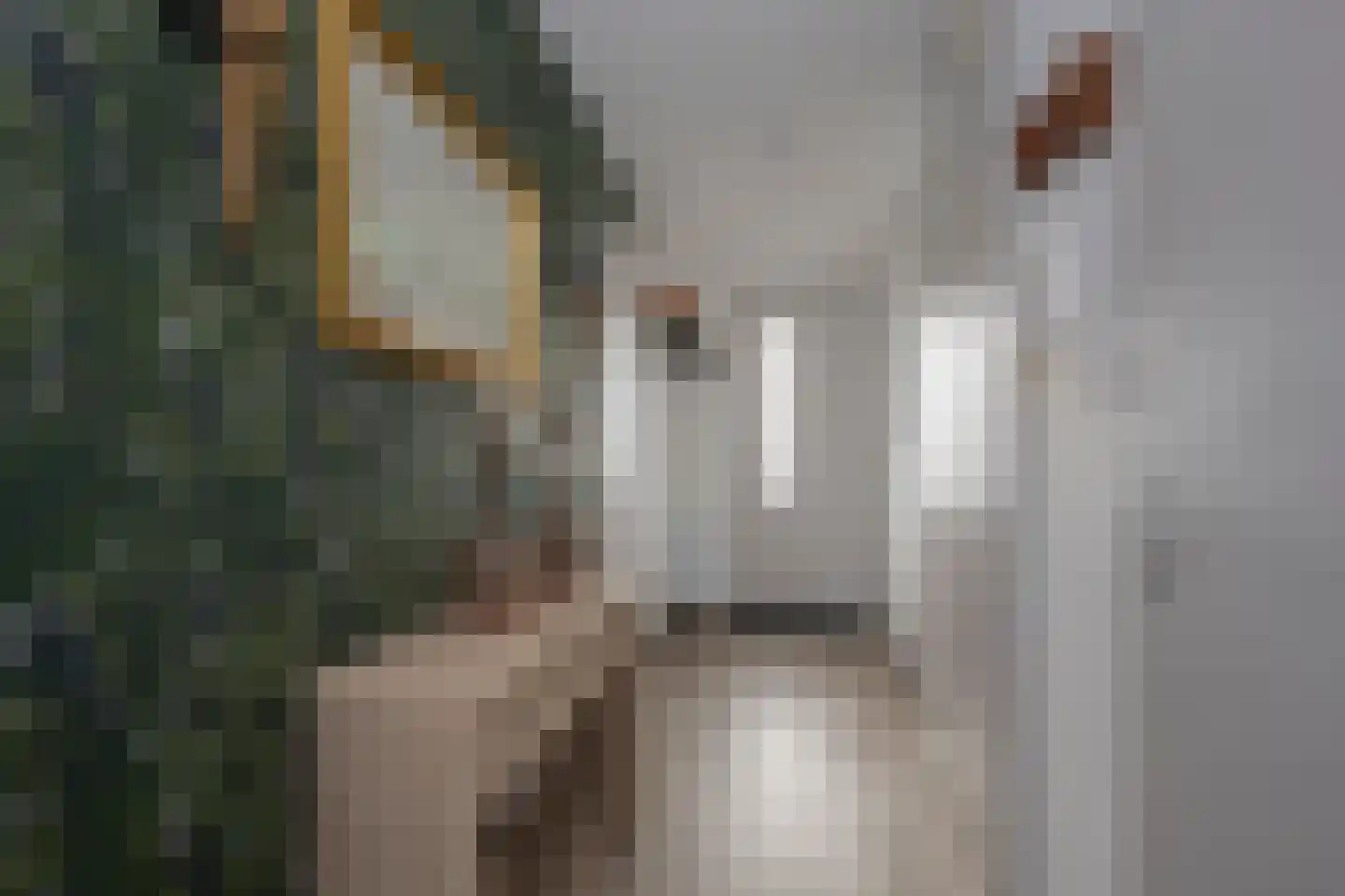 Meinsstraat 56 Nijkerk thumbnail 13