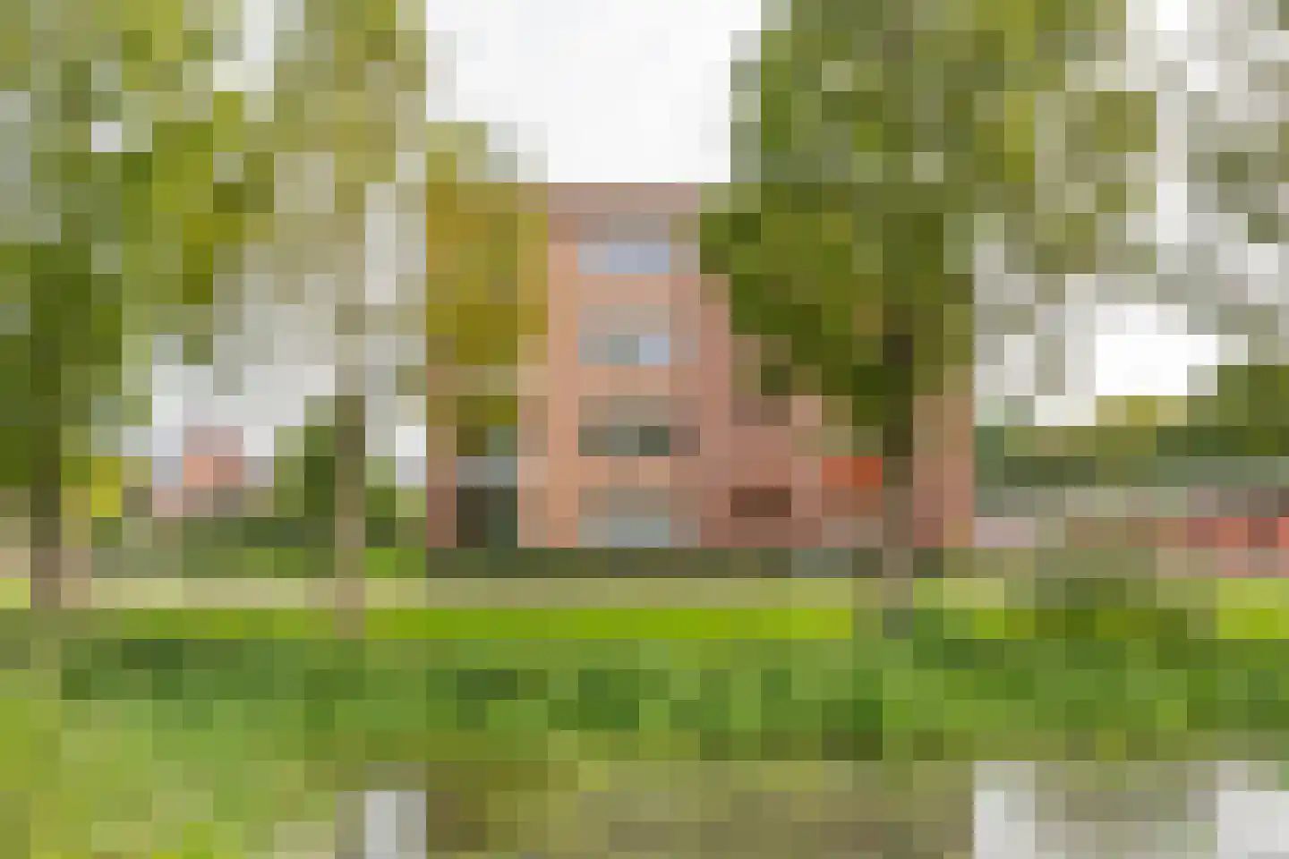Meinsstraat 56 Nijkerk thumbnail 36