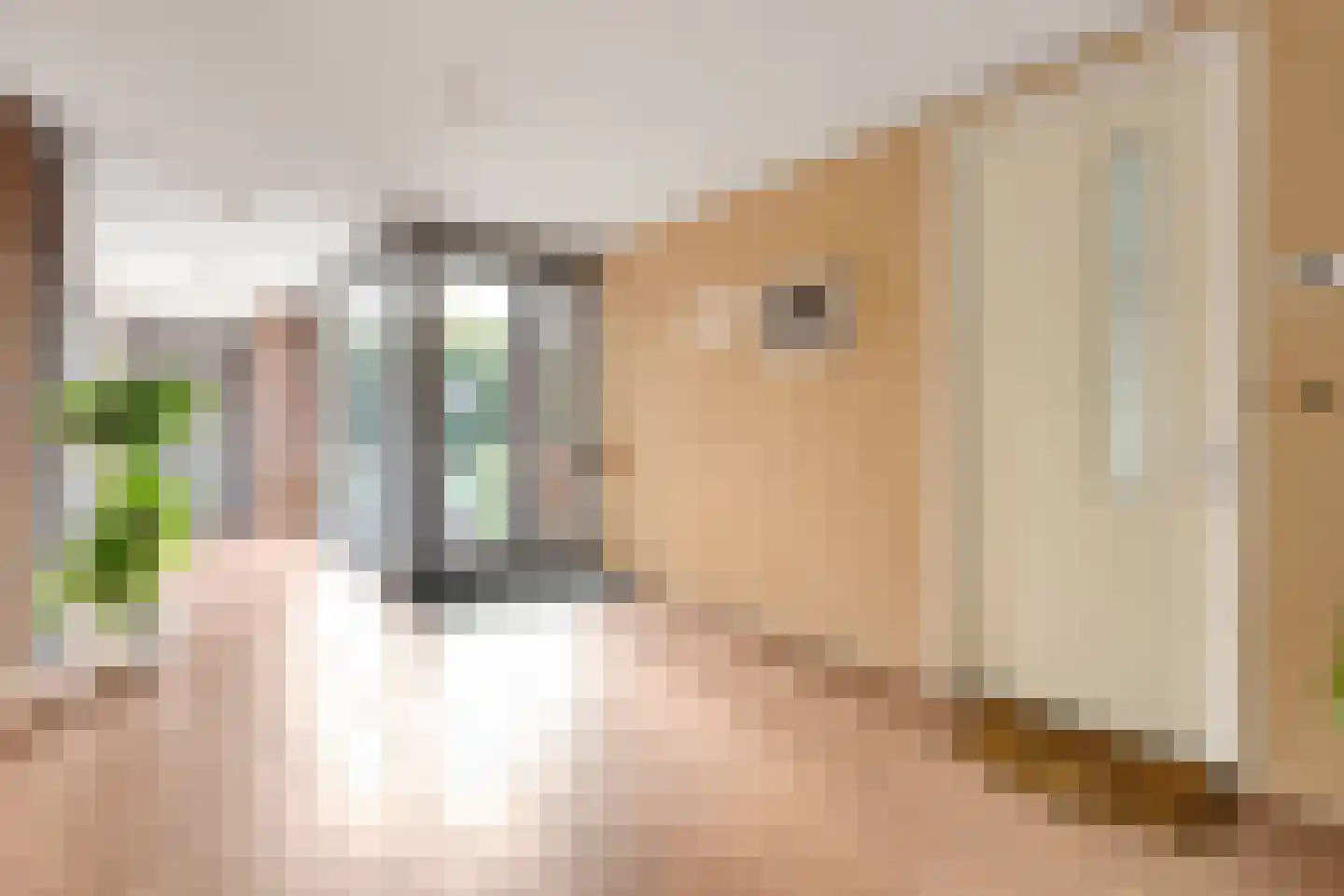 Meinsstraat 92 Nijkerk thumbnail 11