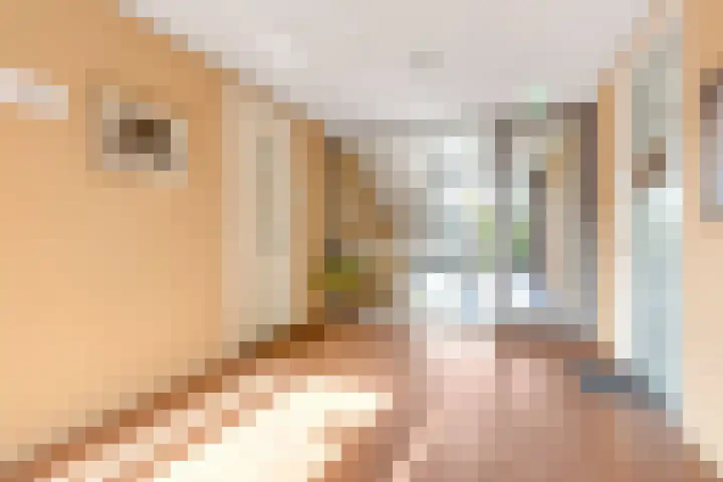 Meinsstraat 92 Nijkerk thumbnail 13