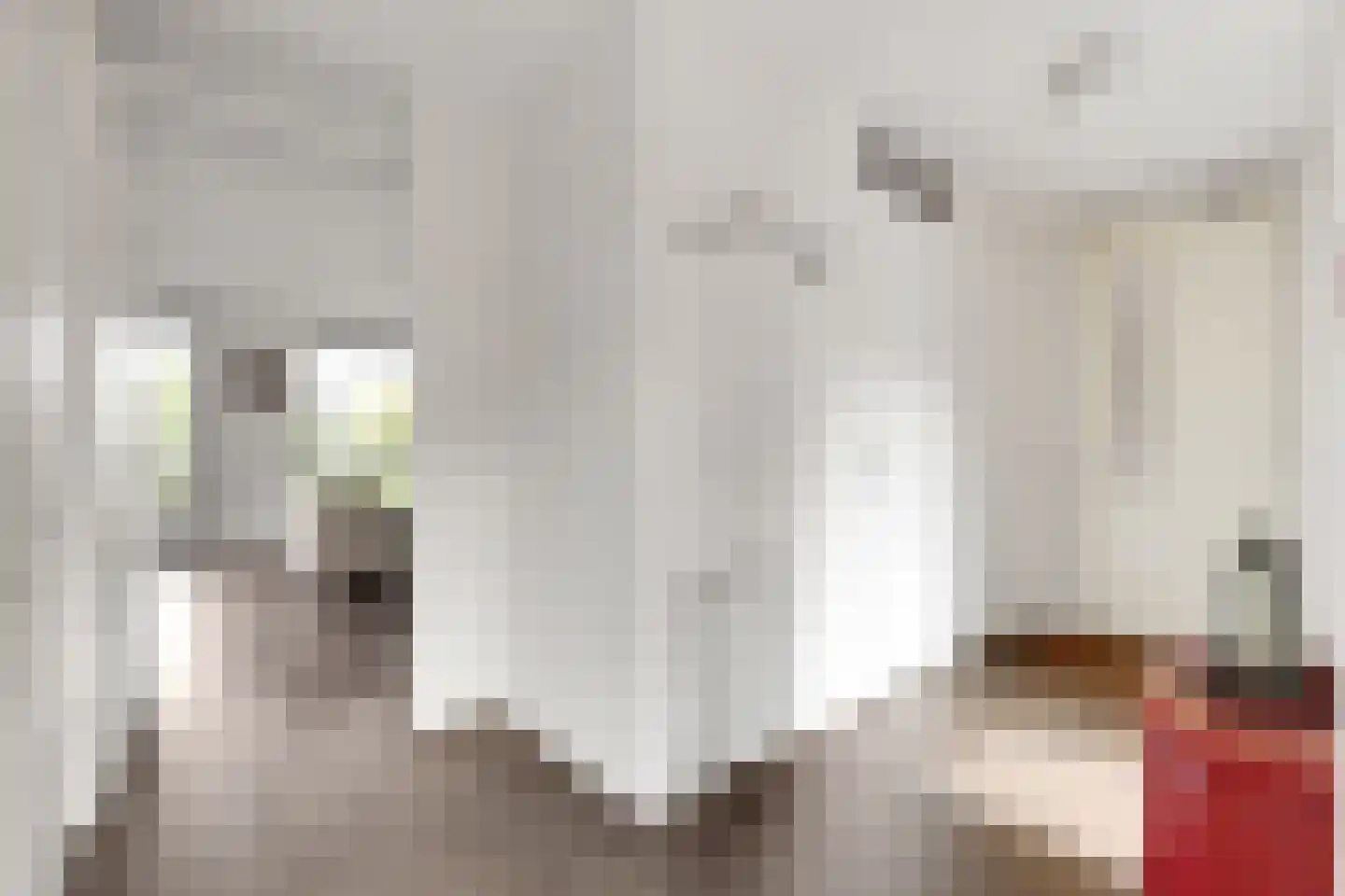 Meinsstraat 92 Nijkerk thumbnail 15