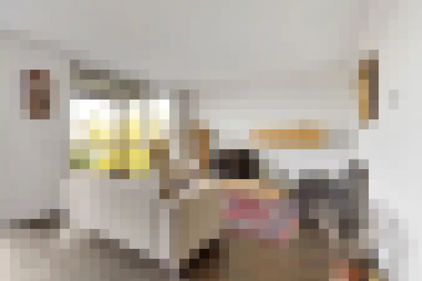 Meinsstraat 92 Nijkerk thumbnail 16
