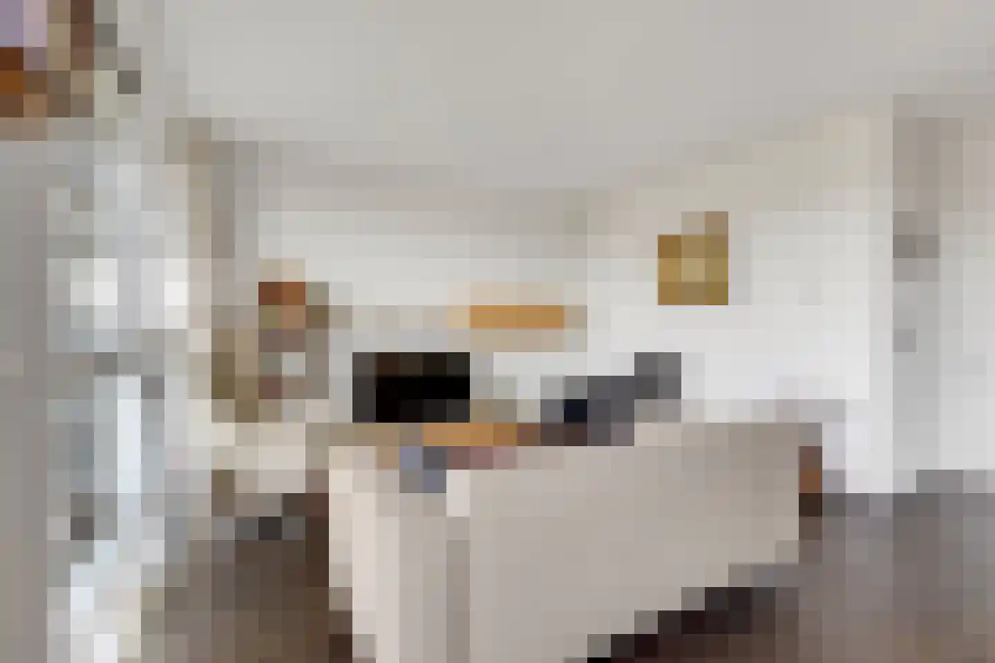 Meinsstraat 92 Nijkerk thumbnail 17