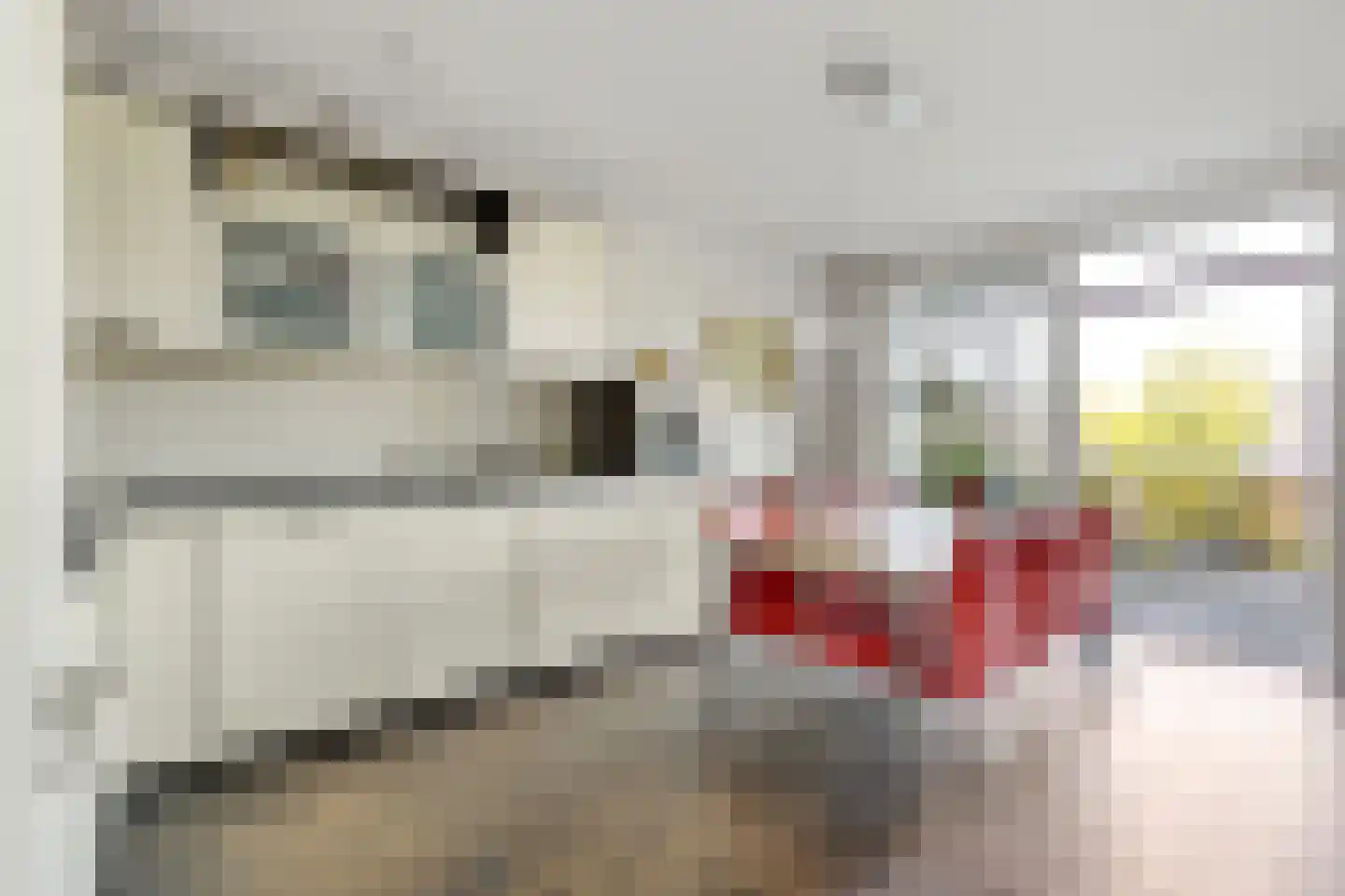 Meinsstraat 92 Nijkerk thumbnail 18