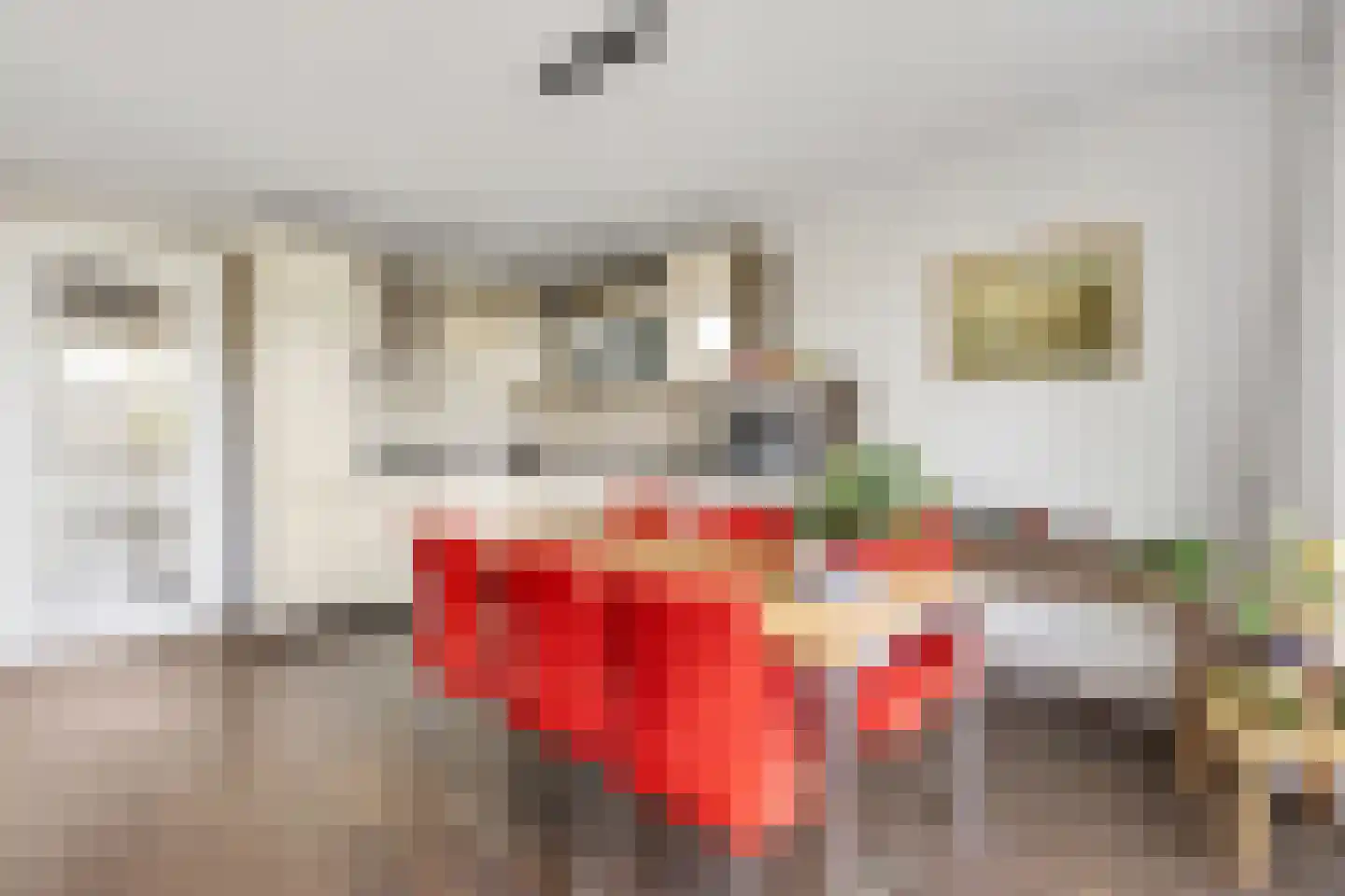 Meinsstraat 92 Nijkerk thumbnail 5
