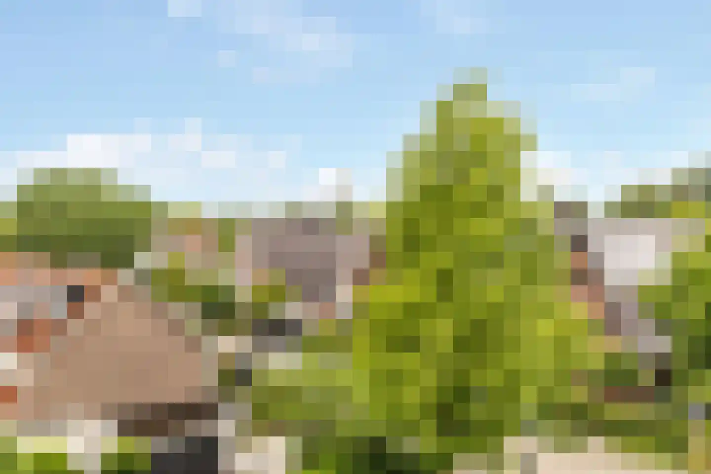 Meinsstraat 96 Nijkerk thumbnail 28