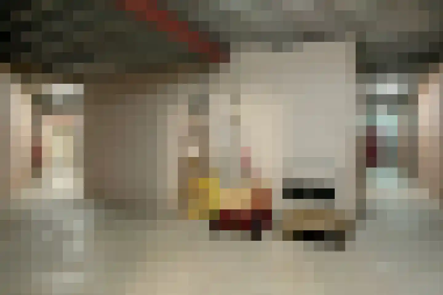 Meint Veningastraat 3 h Hoogezand thumbnail 29