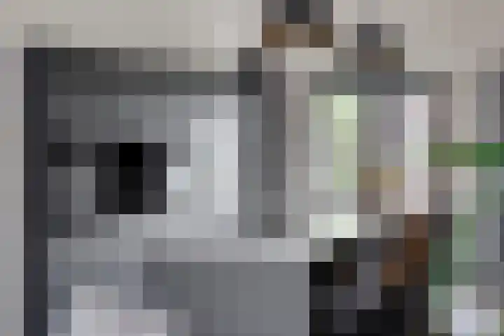 Meint Veningastraat 47 Hoogezand thumbnail 11