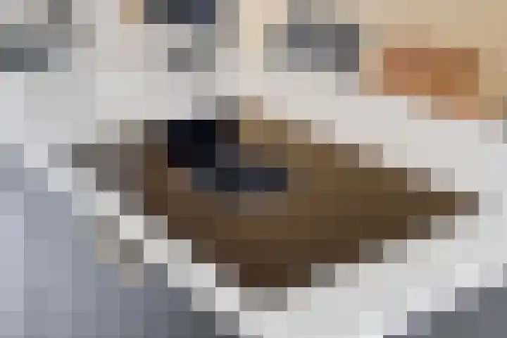 Meint Veningastraat 47 Hoogezand thumbnail 14