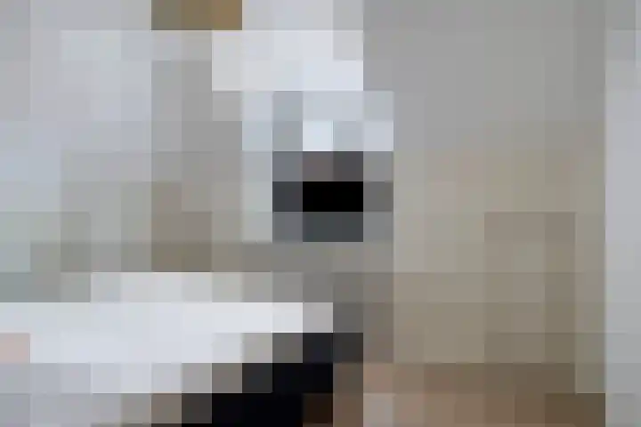 Meint Veningastraat 47 Hoogezand thumbnail 27