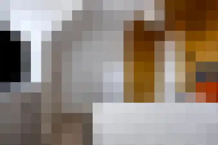 Meint Veningastraat 47 Hoogezand thumbnail 29