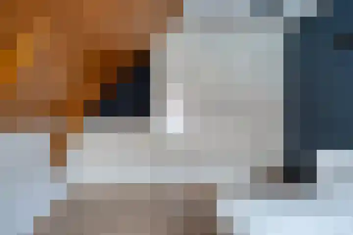 Meint Veningastraat 47 Hoogezand thumbnail 31