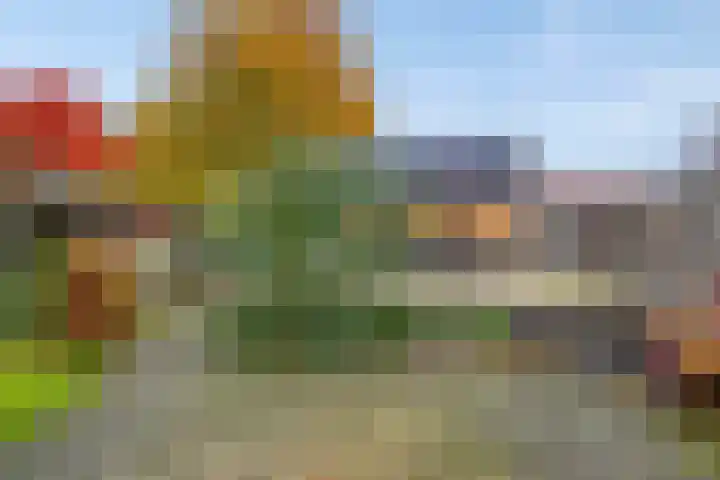 Meint Veningastraat 47 Hoogezand thumbnail 39