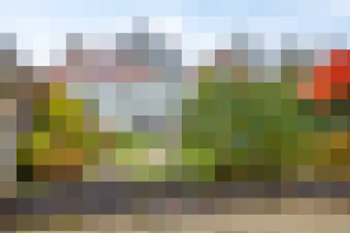 Meint Veningastraat 47 Hoogezand thumbnail 41