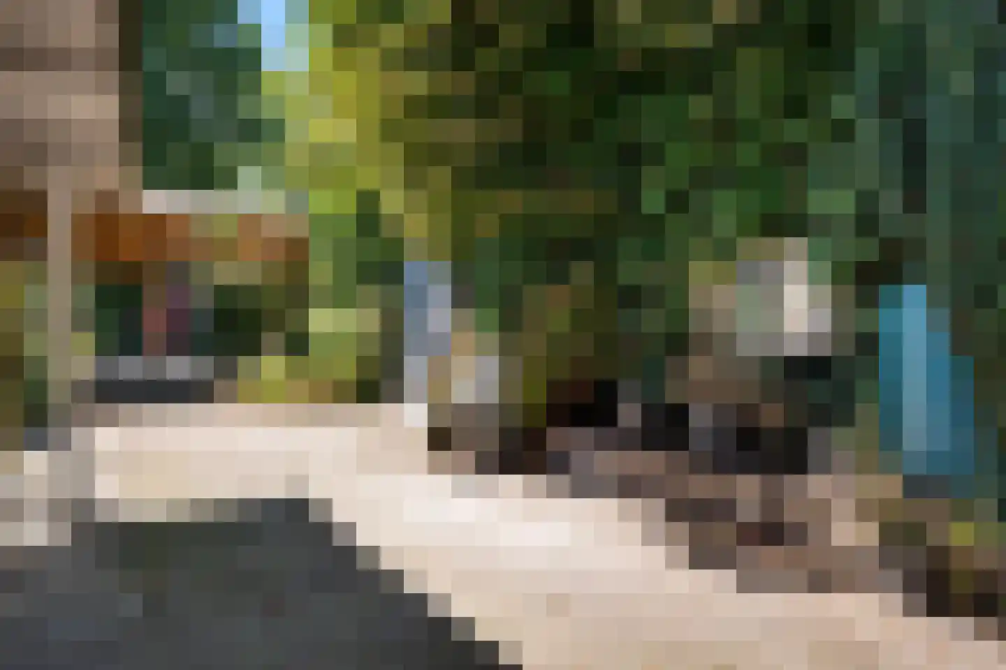Meint Veningastraat 76 Hoogezand thumbnail 25