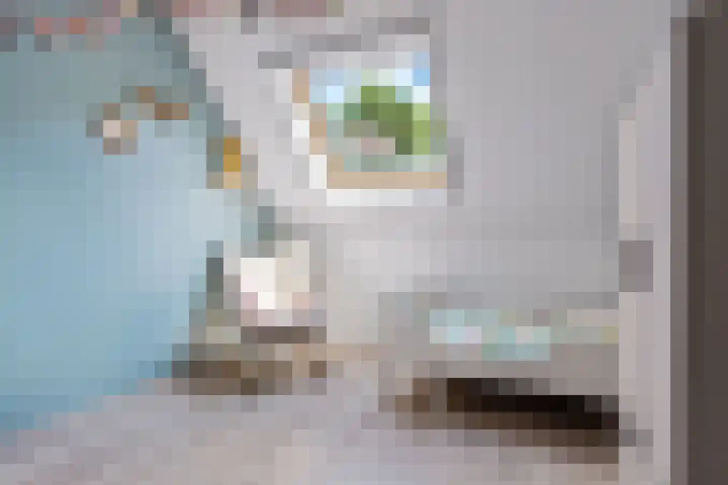 Meinteslân 12 Goutum thumbnail 19