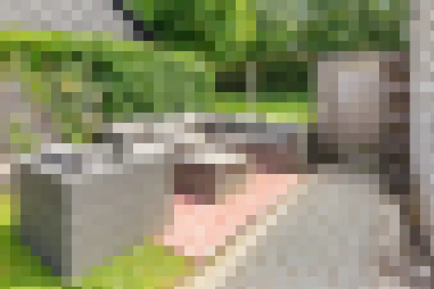 Meinteslân 12 Goutum thumbnail 27