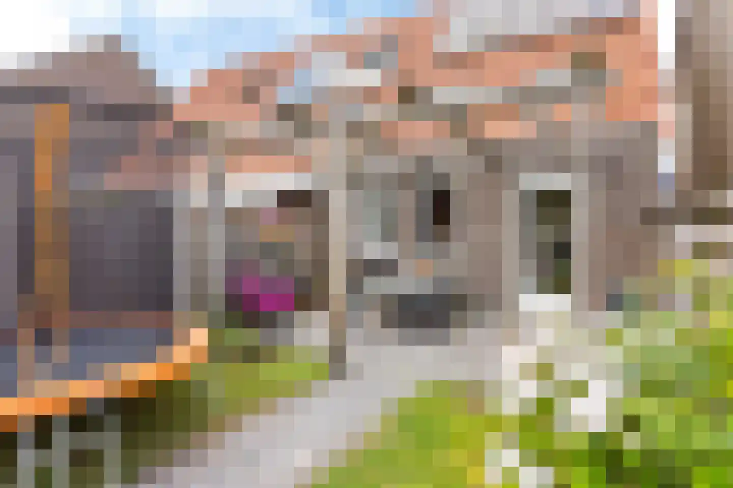 Meinteslân 12 Goutum thumbnail 29