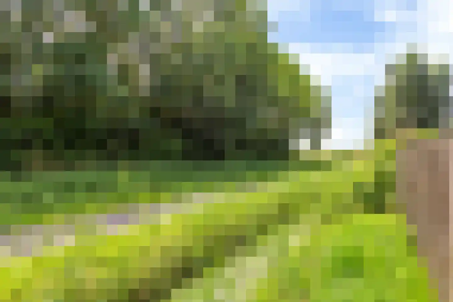 Meinteslân 12 Goutum thumbnail 32