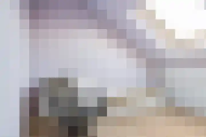 Meinteslân 7 Goutum thumbnail 30