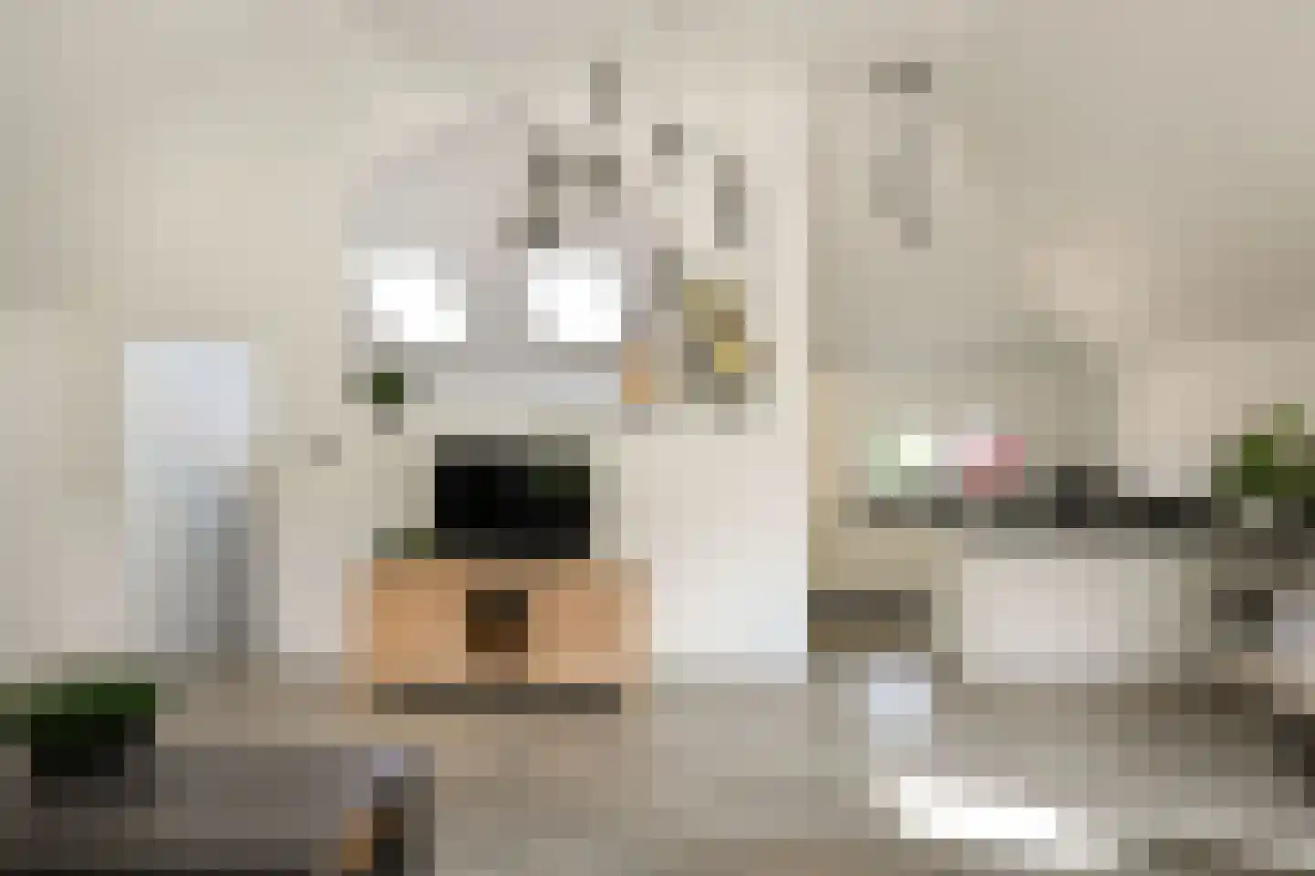 Meinwerkstraat 7 Putten thumbnail 12