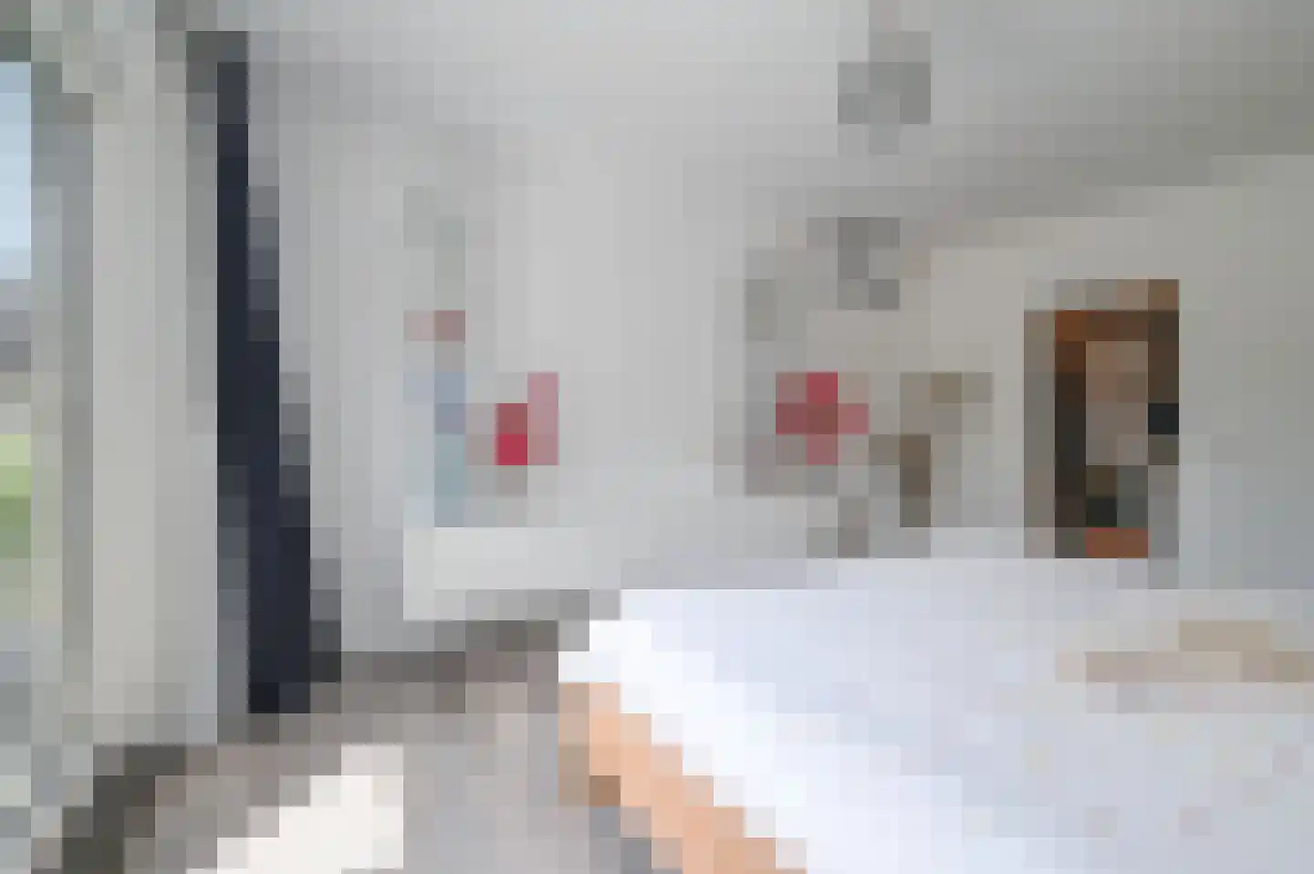 Meinwerkstraat 7 Putten thumbnail 19