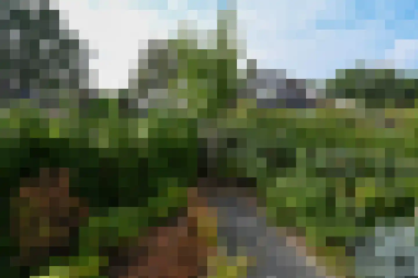 Meinwerkstraat 7 Putten thumbnail 39
