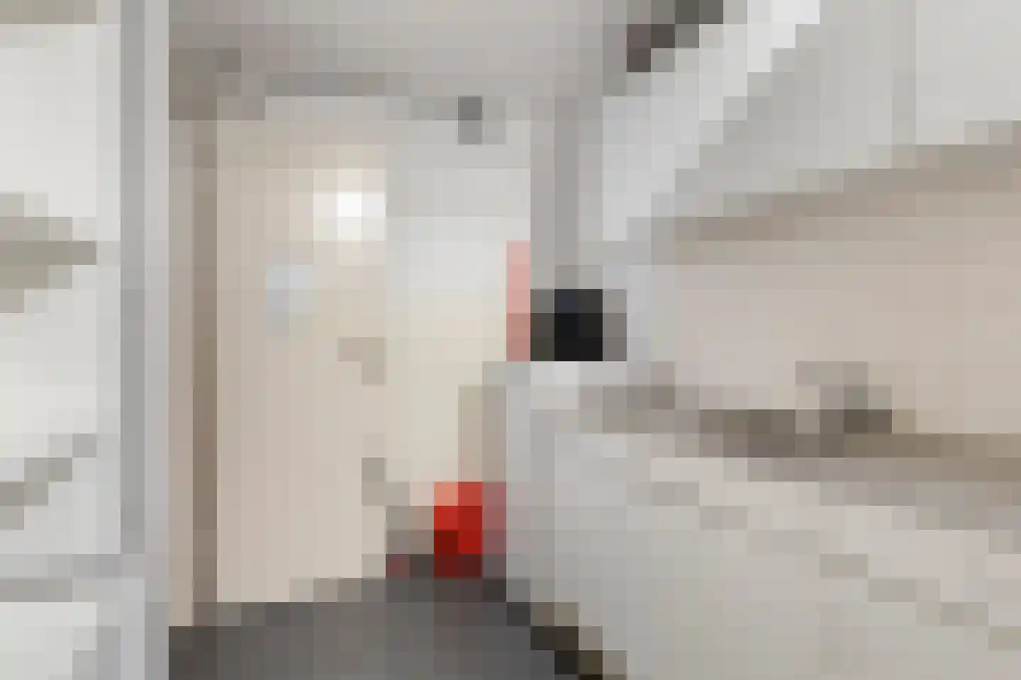 Meipoortstraat 68 Doesburg thumbnail 23
