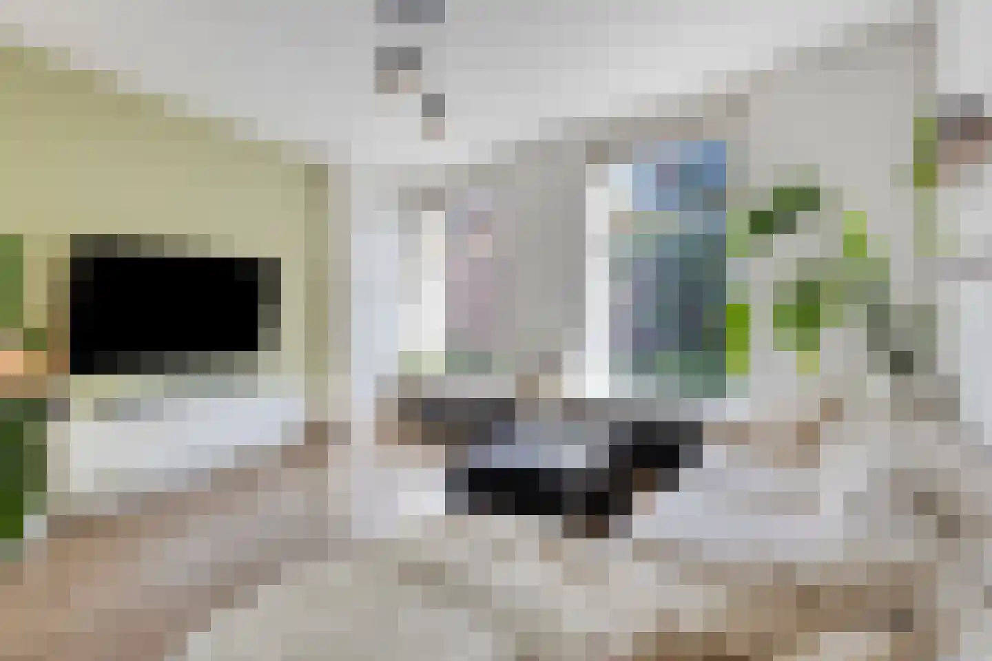 Meipoortstraat 68 Doesburg thumbnail 28