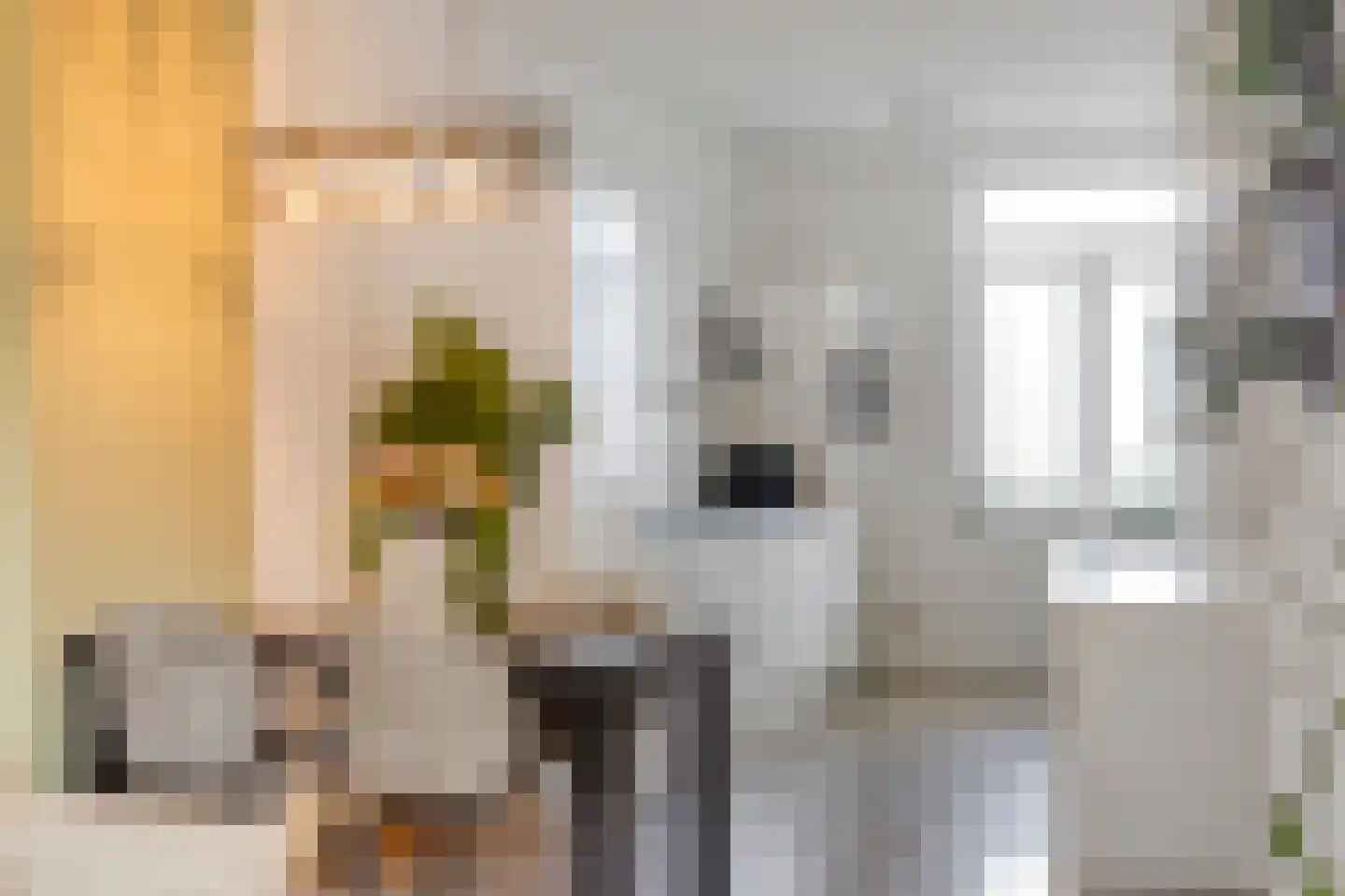Meipoortstraat 68 Doesburg thumbnail 36