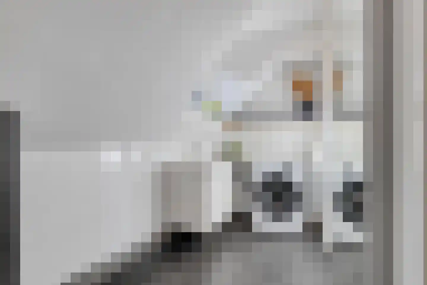 Meipoortstraat 68 Doesburg thumbnail 47