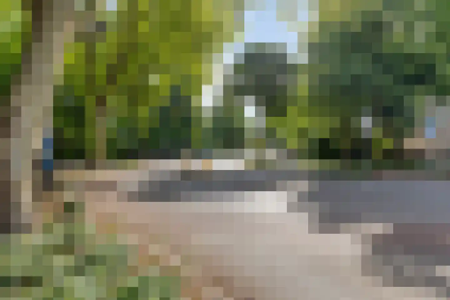 Meipoortstraat 68 Doesburg thumbnail 50