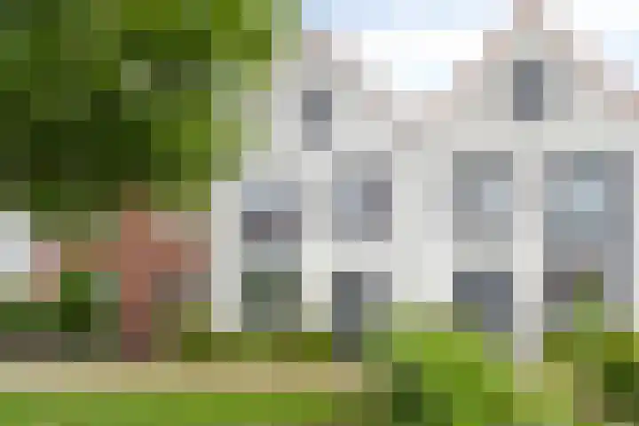 Meiraap 3 in Roelofarendsveen