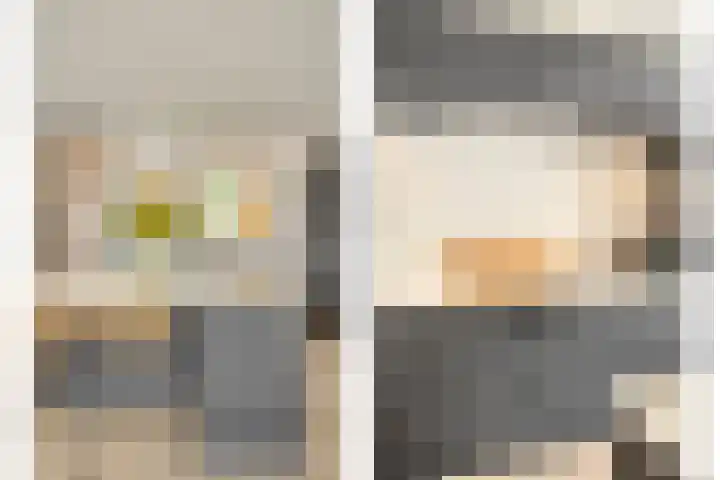 Meiraap 3 Roelofarendsveen thumbnail 10
