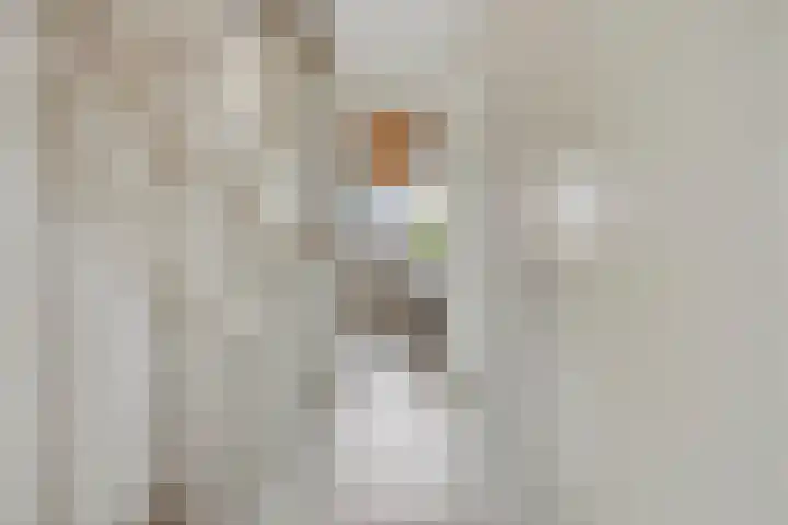 Meiraap 3 Roelofarendsveen thumbnail 12