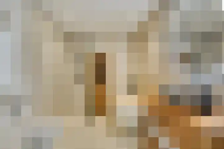 Meiraap 3 Roelofarendsveen thumbnail 15