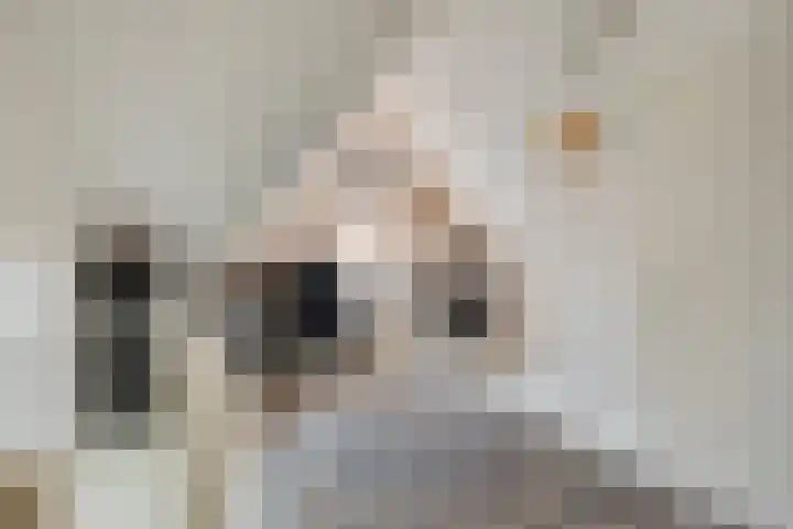 Meiraap 3 Roelofarendsveen thumbnail 18