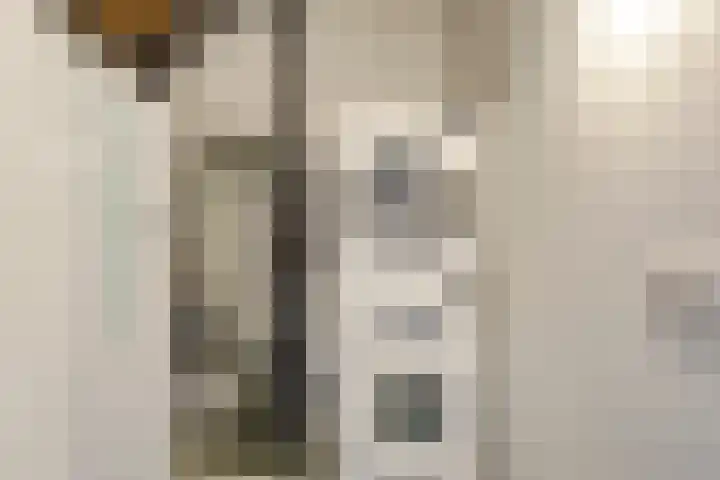 Meiraap 3 Roelofarendsveen thumbnail 19